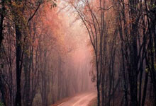 萨拉赫单赛季英超客场助攻数上双,成历史第三人.