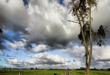 亚美国际入口:WCBA常規賽:新疆被四川打得落花流水 江蘇輕松戰勝山東 合肥順利拿下廈門.