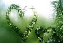 亚美国际官方股份有限公司-亚美国际官方股份有公司:耗時1097場!60歲莫耶斯憑歐會杯冠軍終斬獲主要賽事首冠!.