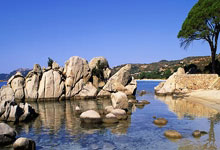 1-4敗給布萊頓後 水晶宮或將更換主帥霍奇森.